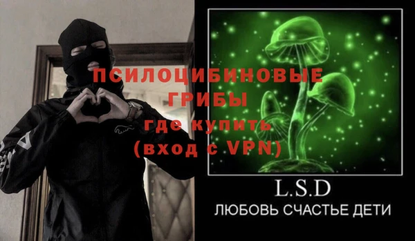 гидра Осинники