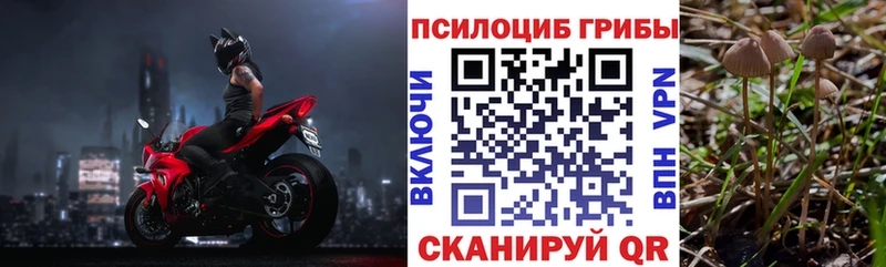 Псилоцибиновые грибы мицелий где найти наркотики Томари